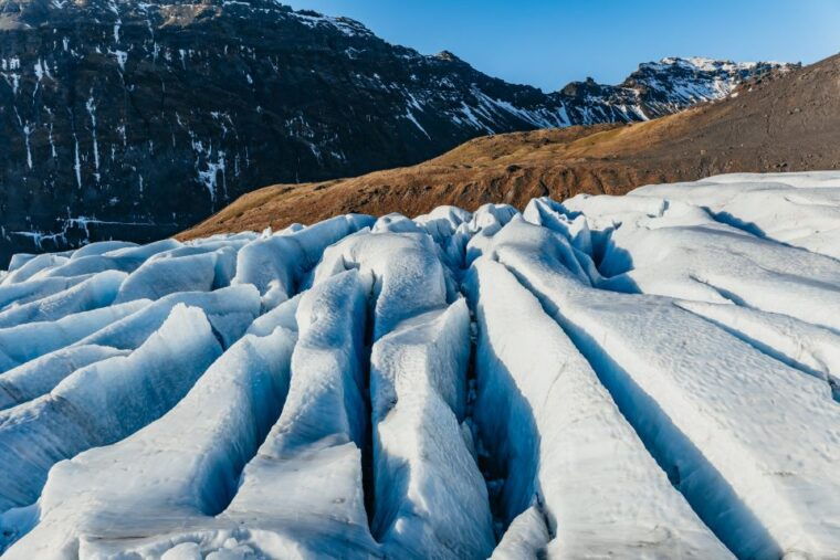 Skaftafell National Park: Falljokull Glacier Easy Hike - FAQ