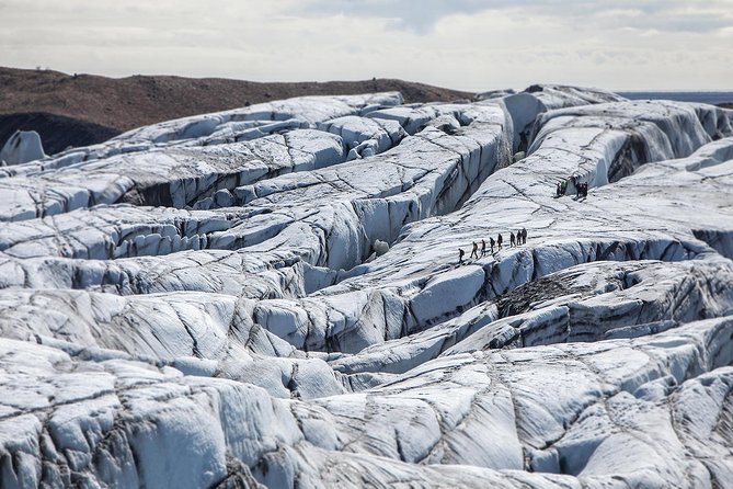 Skaftafell Small-Group Glacier Hike - Viator Support and Information