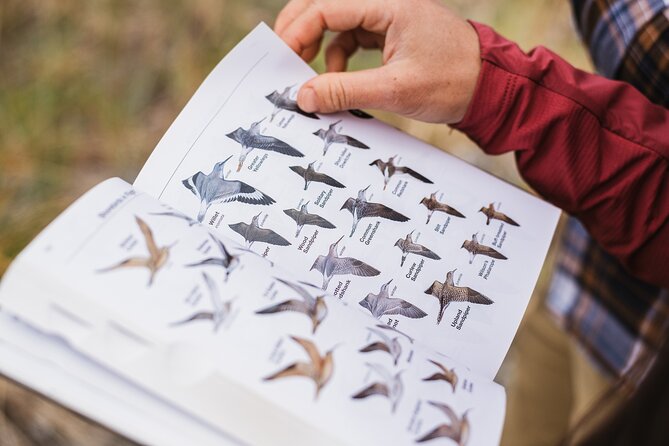 Skagit Valley Birding Deception Pass Day Tour From Seattle - Tour Itinerary