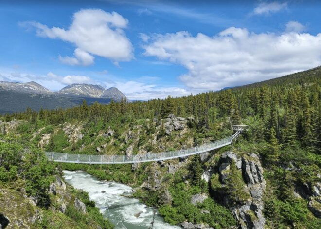 Skagway: Bridge, Puppies and Summit Triple Combo - Pricing and Booking Options