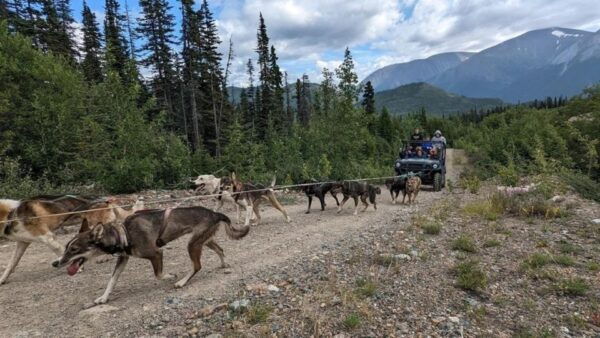 Skagway: Bridge, Puppies and Summit Triple Combo - Gift and Gift Options