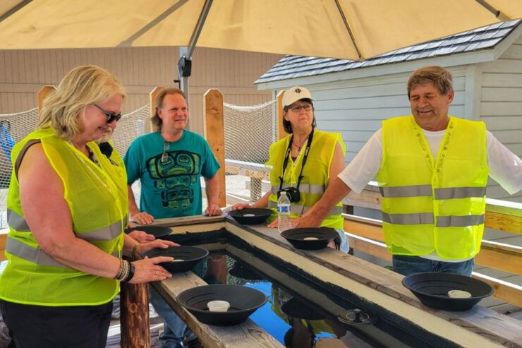 Skagway: E-Bike Tour With Gold Panning and Museum Entrance - Activity Details