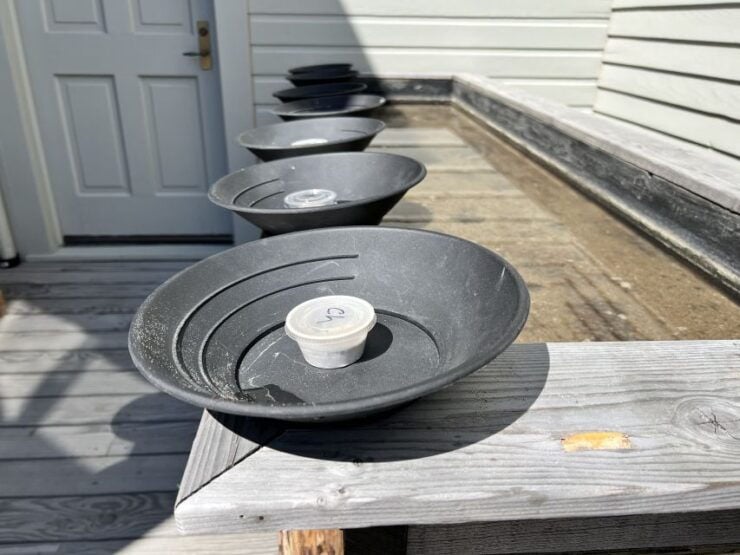 Skagway: Gold Panning Experience - Experience Highlights