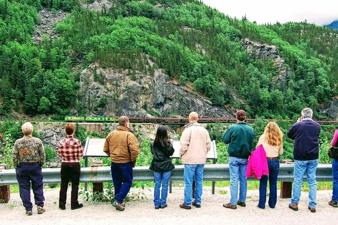 Skagway Shore Excursion: Half-Day Tour to the Yukon Border and Suspension Bridge - Positive Feedback About the Tour Guide