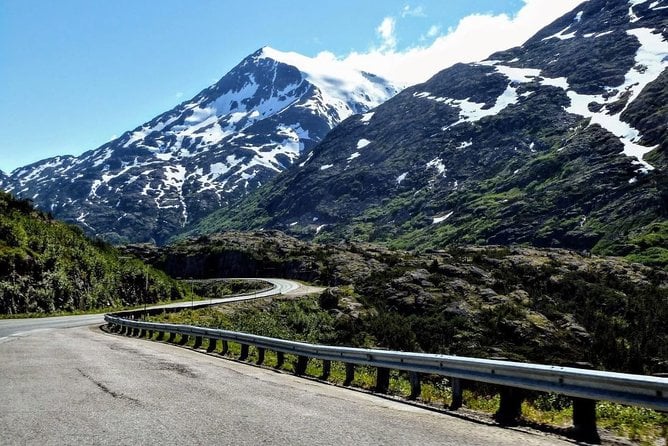 Skagway Shore Excursion: Half-Day Tour to the Yukon Border and Suspension Bridge - Common Questions