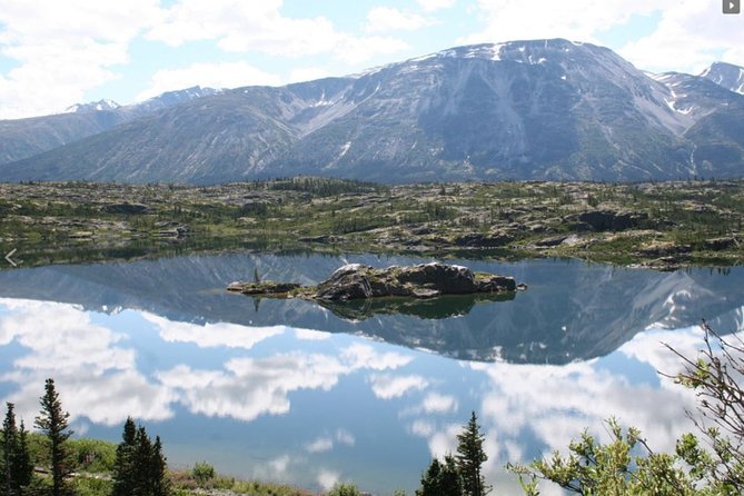 Skagway Shore Excursion: Yukon Dog Sledding and Sightseeing Tour - Appreciation for Tour Guide