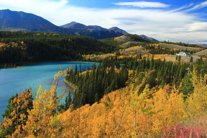 Skagway Shore Excursion: Yukon Dog Sledding and Sightseeing Tour - The Sum Up