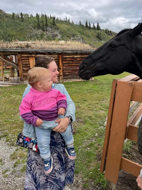 Skagway: Yukon Discovery Tour - Introduction