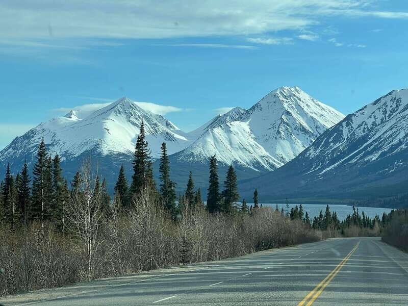 Skagway: Yukon Dog Mushing & Sightseeing Tour - Practical Details and Value