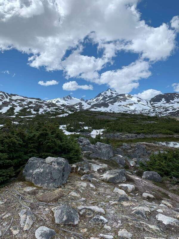 Skagway: Yukon Suspension Bridge & Summit Tour - Good To Know