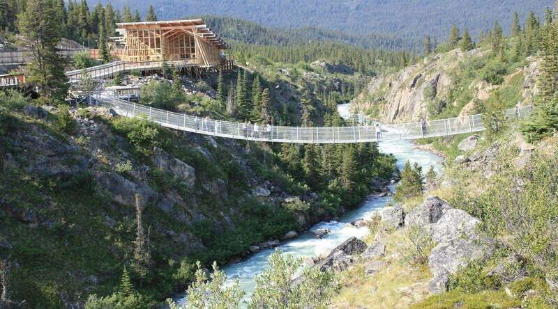 Skagway: Yukon Suspension Bridge & Summit Tour - Price and Value