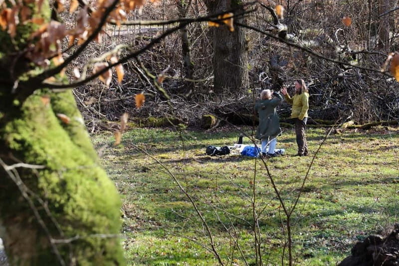 Skåne: guided hike in national park incl lunch close to Lund - Introduction to the Experience