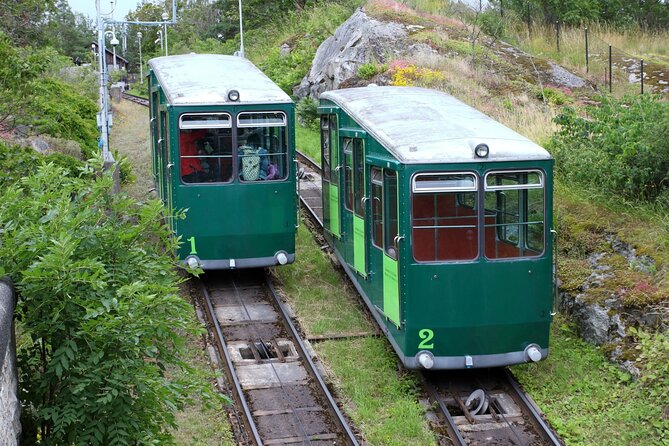 Skansen Stockholm Fast-Track Tickets, Private Tour, Transfer - The Sum Up