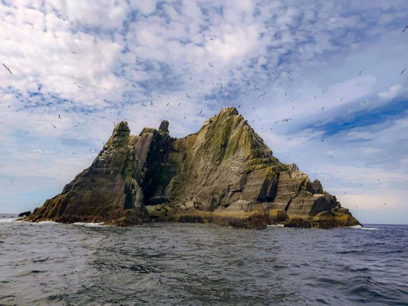 Skellig Michael: Skellig Sightseeing Cruise with AquaTerra - An In-Depth Look at the AquaTerra Skellig Sightseeing Cruise