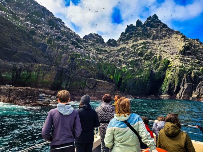 Skellig Michael: The Ultimate Skellig Coast Tour - Witnessing Diverse Marine Wildlife