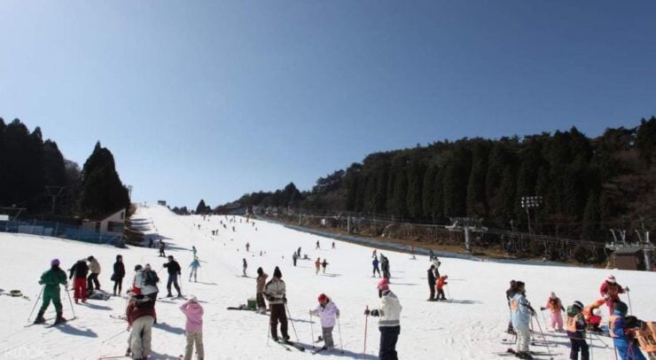 Ski Day Tour From Osaka: Mt. Rokko Snow Park & Arima Onsen - Activity Details and Booking Information