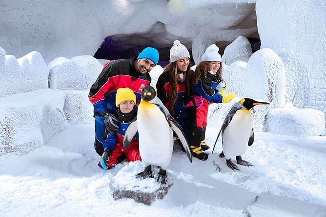 Ski Dubai Snow Classic - Meeting Point and Time