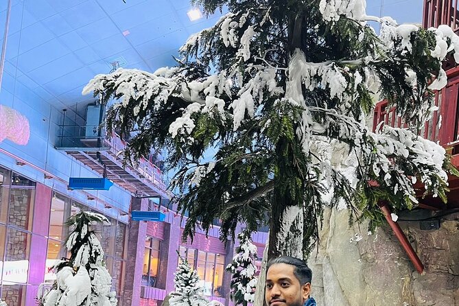 Ski Dubai Snow Classic Tickets Only - Ski Dubai Snow Classic Overview