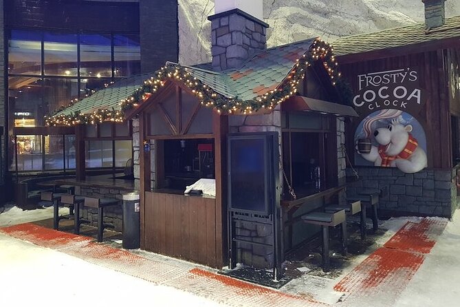 Ski Dubai: Snow Park Admission Ticket - Questions and Help