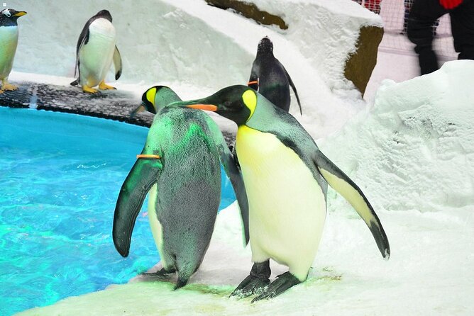 Ski Dubai (Snow Premium) - Meeting and Pickup