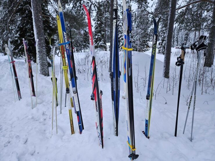 Ski or Snowshoe Rental in Sea Lapland - Activity Details and Instructors