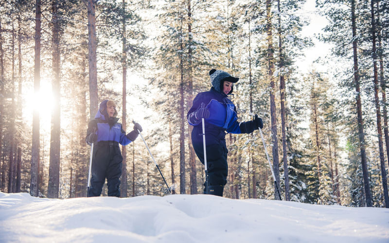 Ski trekking safari through the snowy taiga forests of Lapland - What to know before you go
