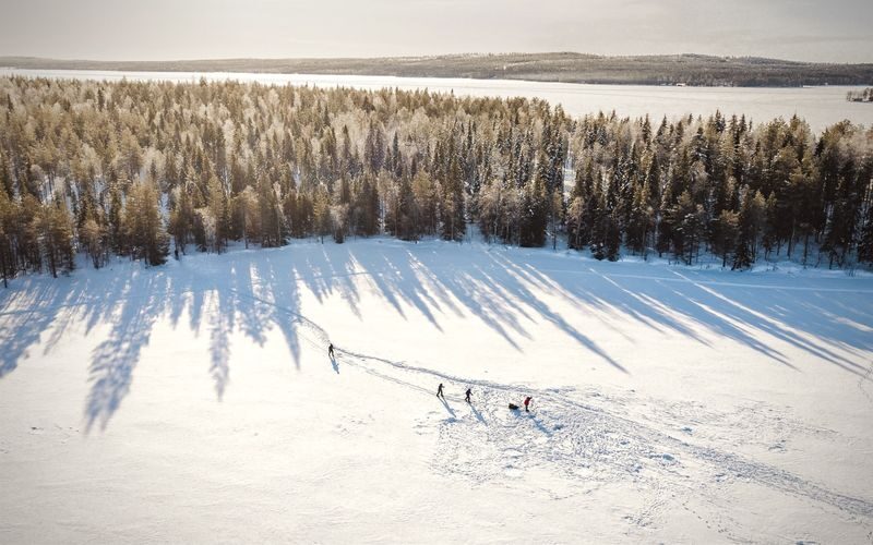 Ski trekking safari through the snowy taiga forests of Lapland - Skiing into Rovaniemi’s snowy taiga