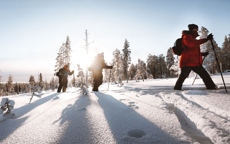 Ski trekking safari through the snowy taiga forests of Lapland - Is $140.59 good value?