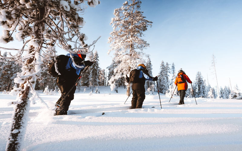 Ski trekking safari through the snowy taiga forests of Lapland - Who will enjoy this Lapland ski trek?