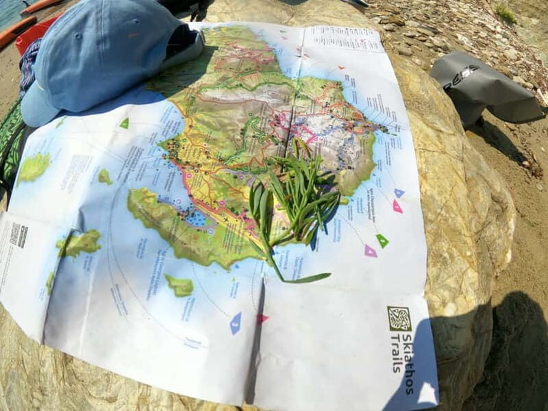 Skiathos: Guided Sea Kayaking Tour with Swim Stop - Good To Know