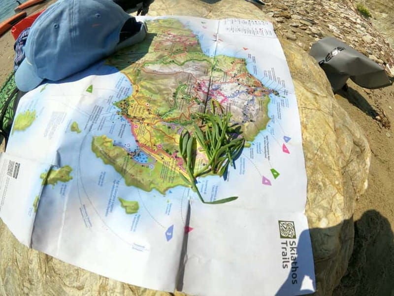 Skiathos: Guided Sea Kayaking Tour with Swim Stop - What You Can Expect from the Itinerary