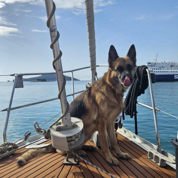 Skiathos Private Tours :Sailing Day With Lunch on Board, - Frequently Asked Questions