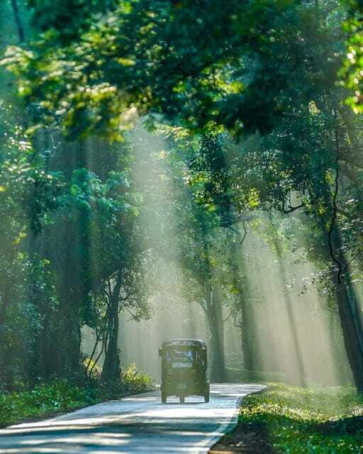 Skip Climbing Sigiriya Lions Rock  Relaxing Tuk Tuk Safari - Who Is This Tour Best For?