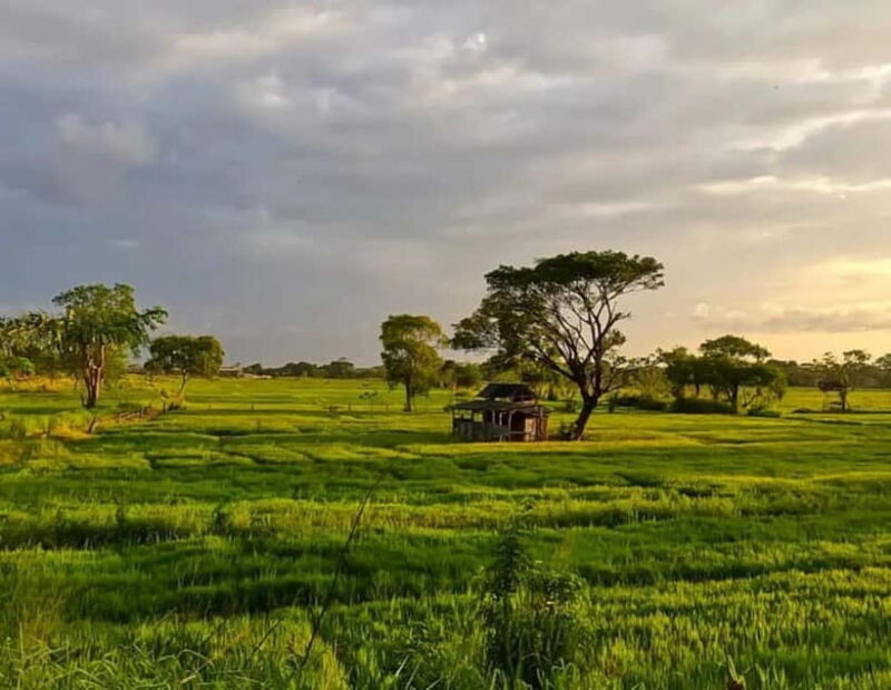Skip Climbing Sigiriya Lions Rock  Relaxing Tuk Tuk Safari - The Sum Up