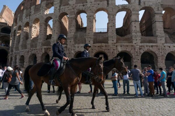 Skip Line Colosseum, Palatine Hill, Roman Forum Private Tour - Gain Insights From Expert Guides