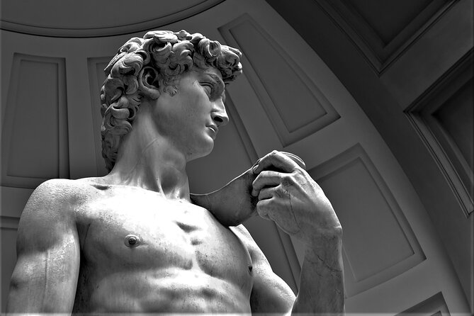 Skip the Line: Accademia Gallery Priority Entry Ticket With Ebook - Ease of Access and Ticket Collection