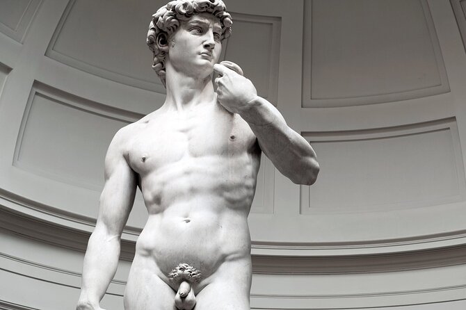 Skip the Line: Accademia Gallery Priority Entry Ticket With Ebook - Positive Reviews