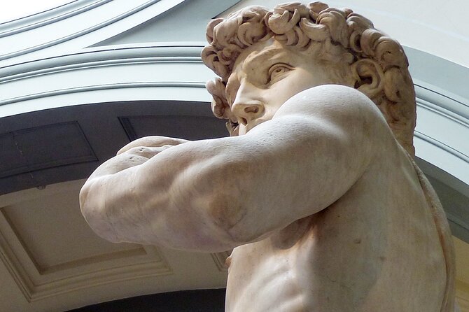 Skip the Line: Accademia Gallery Priority Entry Ticket With Ebook - Mixed and Negative Reviews