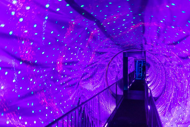 Skip the Line: Amsterdams Ripleys Believe It or Not Ticket - Common Questions