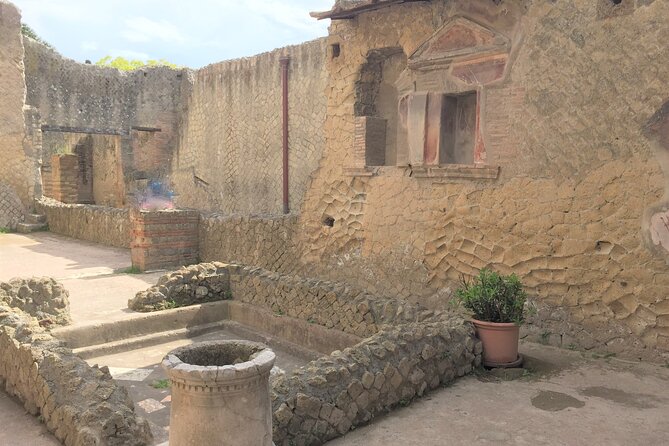 Skip the Line Ancient Herculaneum Walking Tour With Top Rated Guide - Terms & Conditions