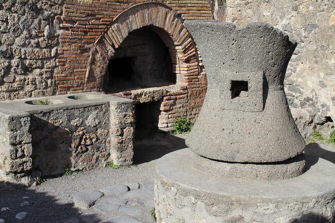Skip the Line Ancient Pompeii and Vesuvius Full-Day Tour - Additional Information