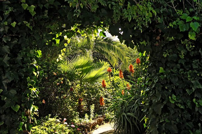 Skip the Line: Artlandya Admission Ticket in Tenerife - Pricing and Guarantee