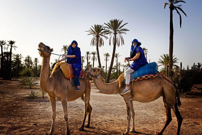 Skip the Line at : Majorelle Garden and Palm Garden. - Booking Tips