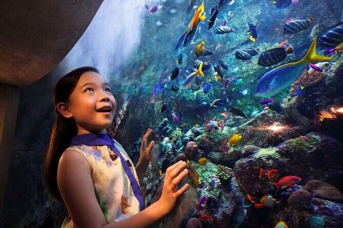 Skip The Line : Atlantis Lost Chambers Aquarium - Booking and Cancellation Policies