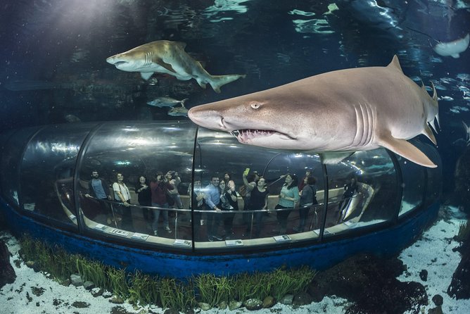 Skip the Line: Barcelona Aquarium Ticket - Additional Information