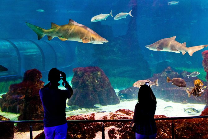 Skip the Line: Barcelona Aquarium Ticket - Common Questions