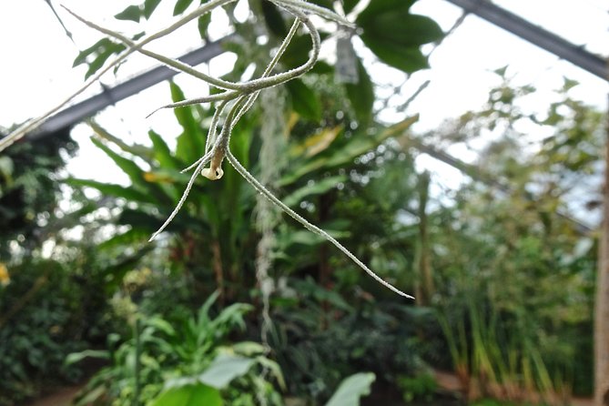Skip-the-Line: Botanic Garden Entry Ticket - Botanic Garden Highlights