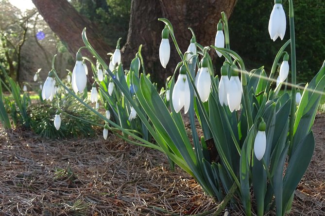Skip-the-Line: Botanic Garden Entry Ticket - The Sum Up