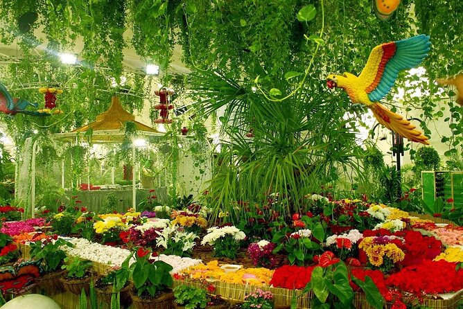 Skip the Line: Butterfly Garden Ticket With Transfer - Pickup and Transfer Service