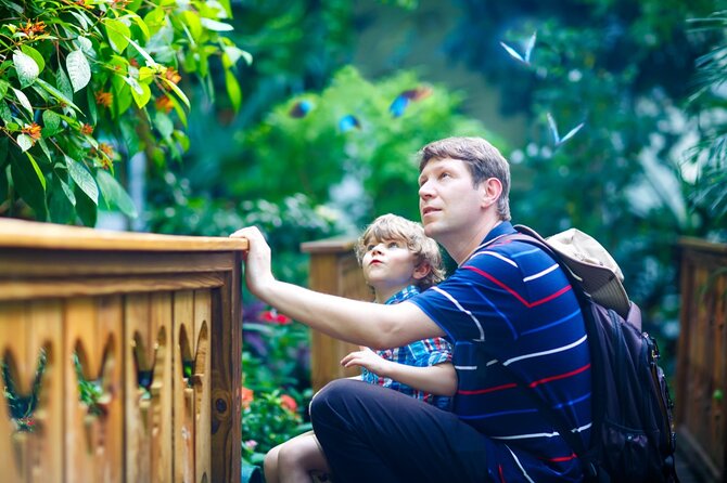 Skip the Line: Butterfly Garden Ticket With Transfer - Customer Support and Safety